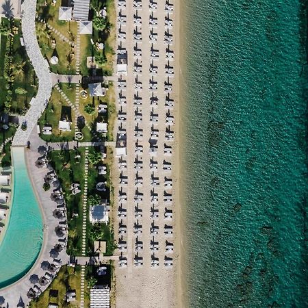 Blue Carpet Luxury Suites Pefkochori Eksteriør billede